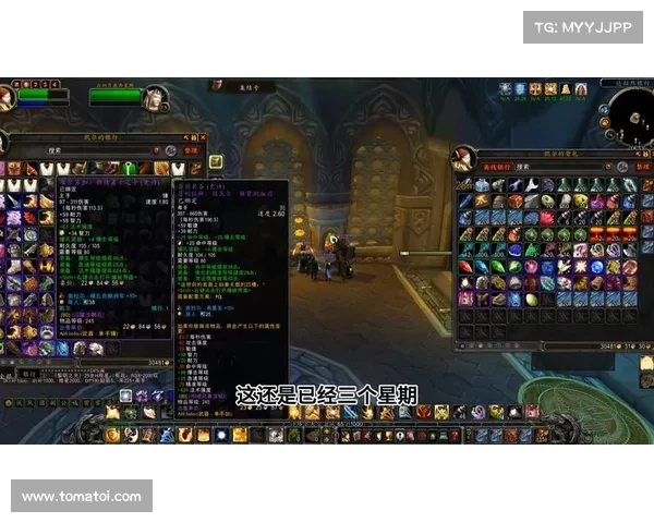 魔兽世界怀旧服:装备为中心,58级直升攻略